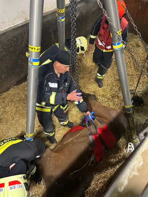 Foto: Presseteam Freiwillige Feuerwehr Laxenburg