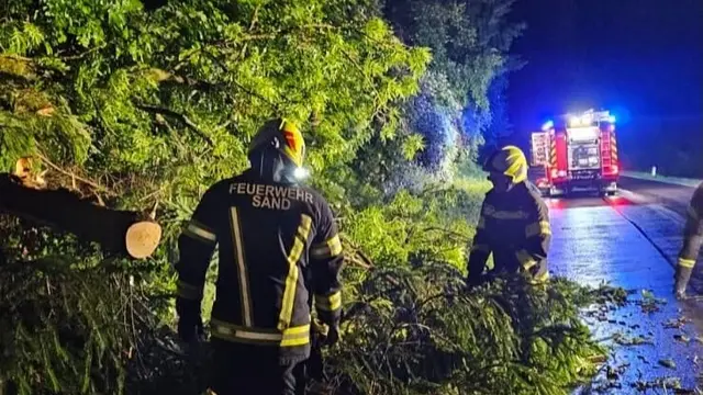 Umgestürzter Baum blockierte B115 Eisenstraße