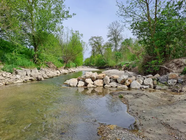 Im Rahmen des LIFE-Projekts wurden in der Restwasserstrecke der Leitha zwischen Bruckneudorf und Götzendorf zahlreiche Strukturierungsmaßnahmen zur ökologischen Aufwertung des Gewässers umgesetzt. | Foto: Johann Nesweda/Amt der NÖ Landesregierung