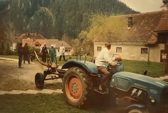 Nostalgie: Vier Jahrzehnte lang wird in der Kuhstall'leitn-Siedlung schon ein Maibaum aufgstellt.  | Foto: Kuhstall'leitn-Siedlung
