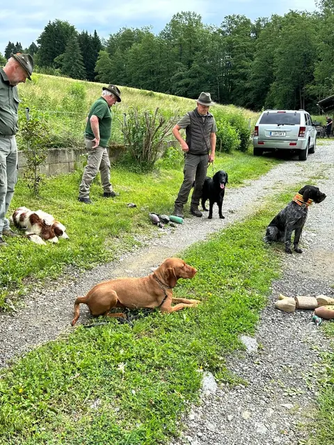 Foto: MeinBezirk