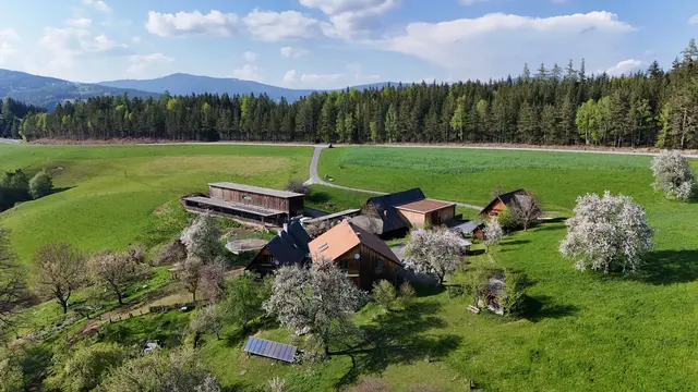 Der Bio-Bauernhof vulgo Priegl ist malerisch gelegen in Kruckenberg/Trahütten. Hier führen Alexandra und Alois Kiegerl einen Bio-zertifizierten Vorzeigebetrieb rund um Nutzvieh-Haltung, Waldwirtschaft und  Urlaub am Bauernhof. | Foto: Kiegerl