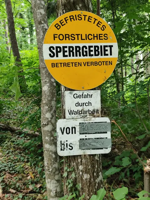 Bevor der Weg richtig steil wird zwingt uns eine Waldsperre zu einem Umweg über die Forststraße und später einen steilen Pfad bergauf... | Foto: I.Wozonig