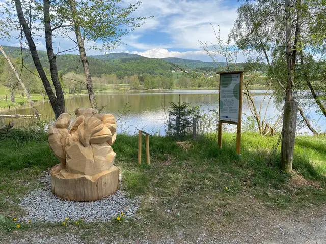 Das Kunstwerk ist in Klaffer zu sehen.  | Foto: HTBLA Hallstatt
