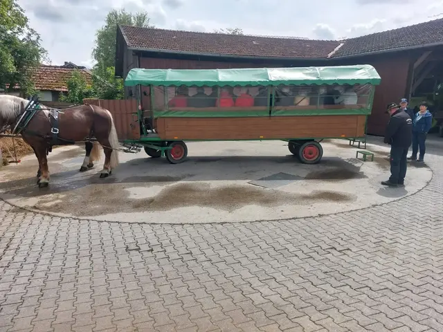 In Röhrnbach ging's für die Ausflügler aus Wernstein am Inn mit dem Kaltblutgespann in einer einstündigen Rundfahrt durch die umliegende Gegend. | Foto: SB Wernstein