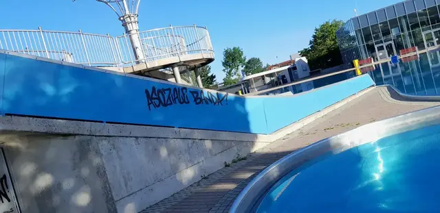 Die "Sprayer" verstehen sich selbst als "asoziale Banda" (sic). | Foto: Stadt Wels