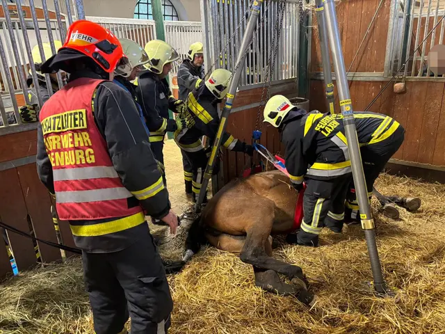 Das Pferd konnte aus eigener Kraft nicht mehr aufstehen. | Foto: Presseteam Freiwillige Feuerwehr Laxenburg