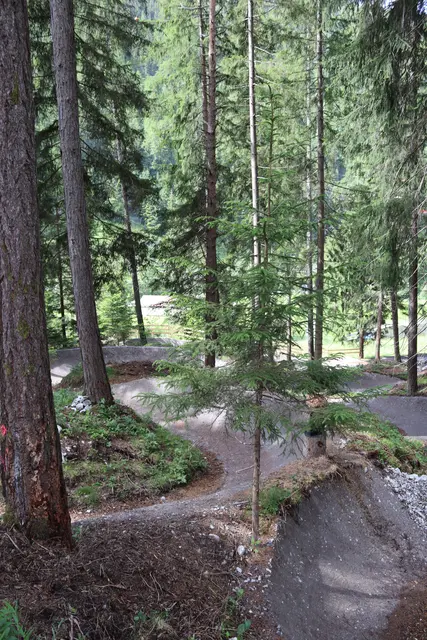 Foto: Elisabeth Zangerl