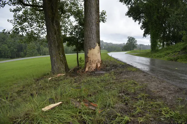 An diesem Baum endete die Fahrt des jungen Fahrers. Zuvor hat er sich während der Fahrt noch mit einer Waffe in den Kopf geschossen. | Foto: Markus Zechbauer/zema-medien.de