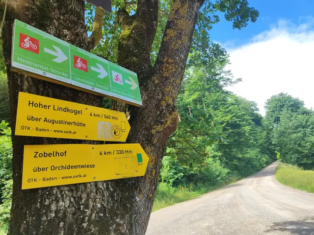 Von einem kleinen Parkplatz weg geht man 4 km und 560 hm den markierten Weg zum Hohen Lindkogel... | Foto: I.Wozonig