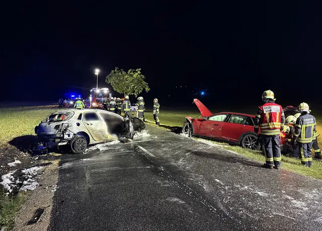 Für einen Fahrzeuglenker kam trotz des raschen Einsatzes der Ersthelfer und Rettungskräfte jede Hilfe zu spät. | Foto: BFKDO BADEN / Stefan Schneider