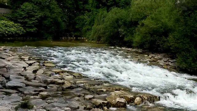 Ein seichter Fluss, schäumendes Wasser, Steine schauen aus dem Wasser. Am Ufer: Bäume.