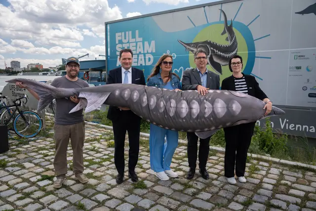 V.l.n.r.: Biologe und Projektleiter Thomas Friedrich, Umweltminister Norbert Totschnig (ÖVP), Stadträtin Ulli Sima (SPÖ), Boku Vizerektor Christoph Pfeifer und Sabine Gansterer von viadonau. | Foto: Sade Jerabek/Meinbezirk