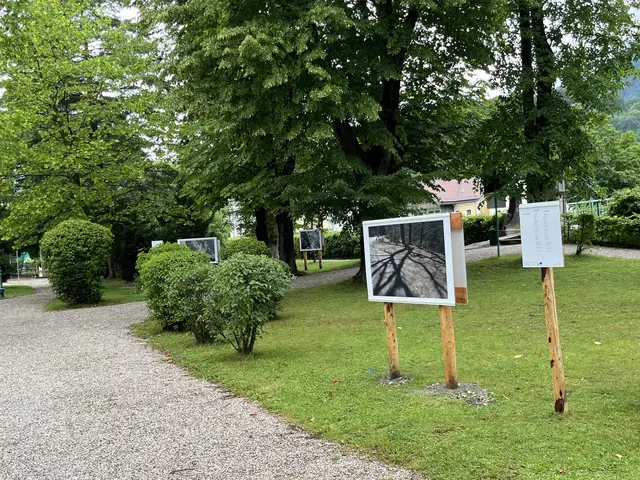Foto: Maria Hofer