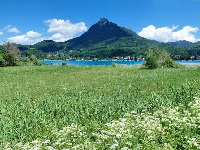 Am Fuschlsee Rundweg  | Foto: H.Bachinger