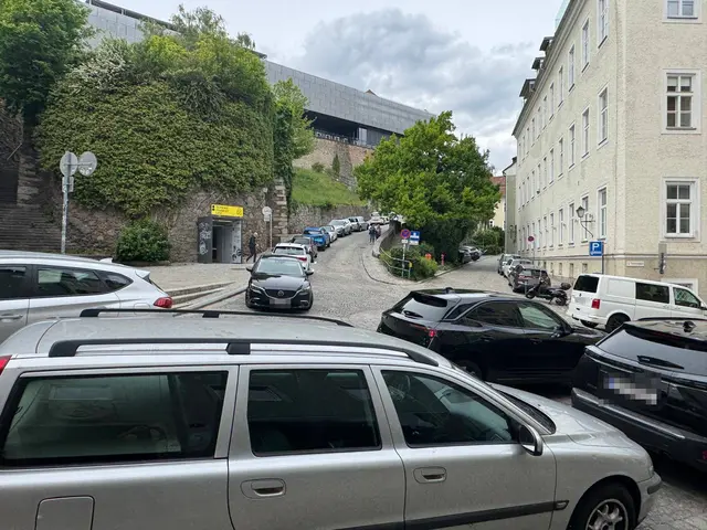 Tagsüber bietet sich am Tummelplatz überwiegend dieses Bild. | Foto: Caramel
