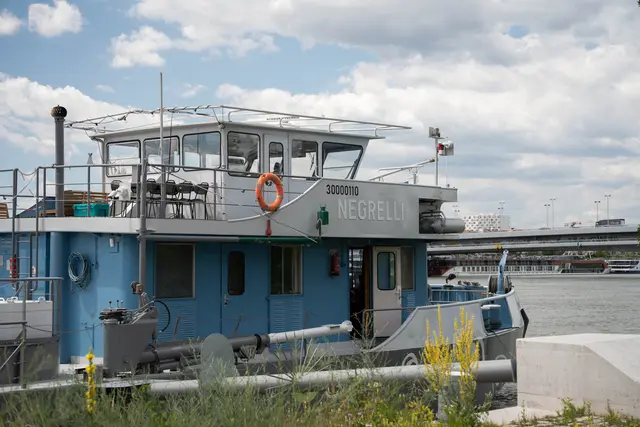 Die MS Negrelli. | Foto: Sade Jerabek/Meinbezirk