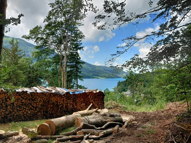 Blick vom Hochfeld auf den Fuschlsee  | Foto: H.Bachinger