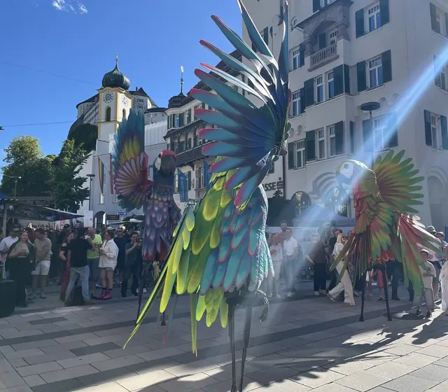 Foto: Barbara Fluckinger
