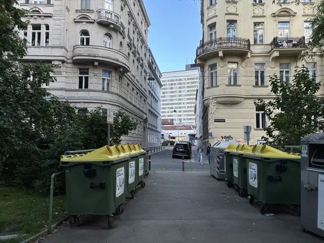 Die Mülltonnen werden komprimiert auf eine Seite des Wegs verlegt. | Foto: Luca Arztmann/MeinBezirk