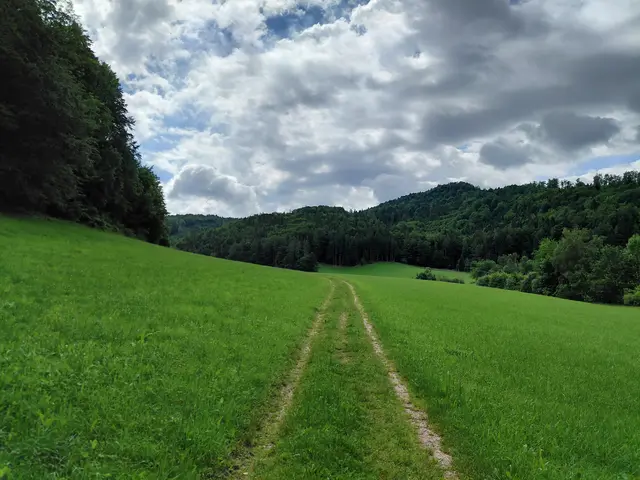 Foto: H.Bachinger