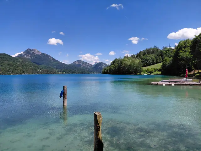 Foto: H.Bachinger