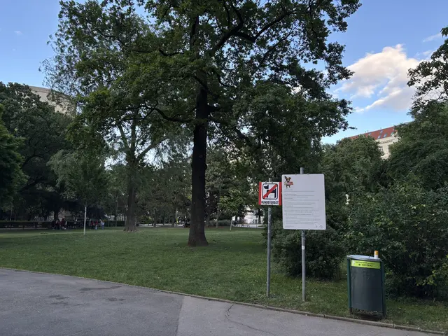 Foto: Luca Arztmann/MeinBezirk