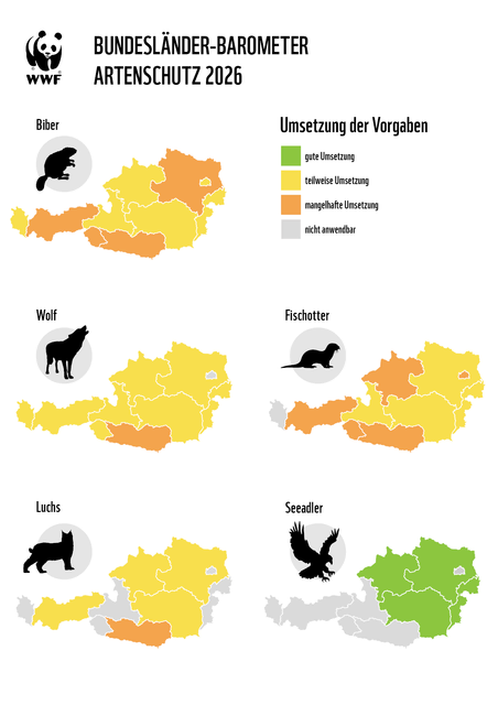 Foto: WWF Österreich
