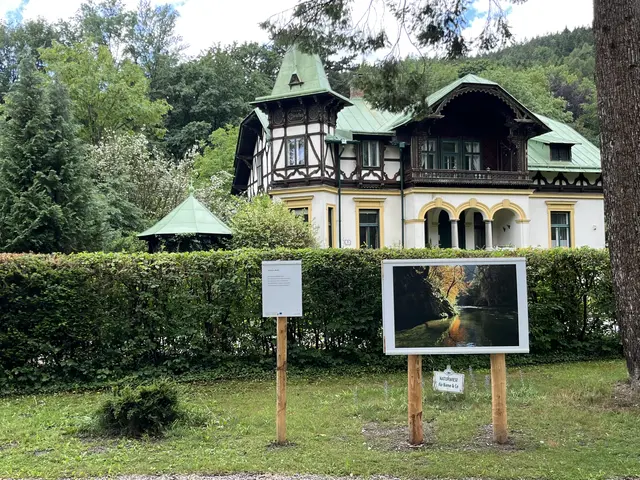 Blick auf eine der Aufnahmen. | Foto: Maria Hofer