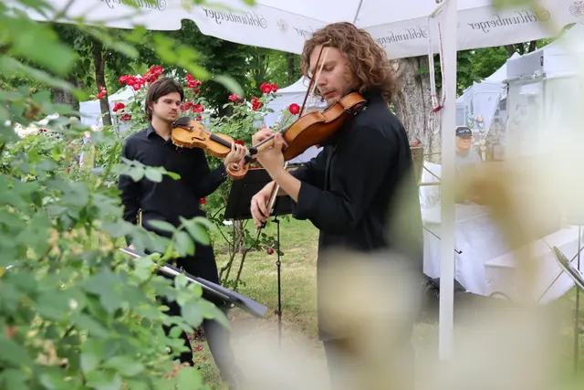 Musikalische Höhepunkte wie das Konzert des Zhubanov Quartetts mit Meisterwerken von Wolfgang Amadeus Mozart, die schwungvollen und eleganten Klänge von „Salon 7“ sowie der Auftritt von Günter Tatar sorgten für großen Applaus und begeisterte Rückmeldungen aus dem Publikum.  | Foto: Alejandra Ortiz / MeinBezirk