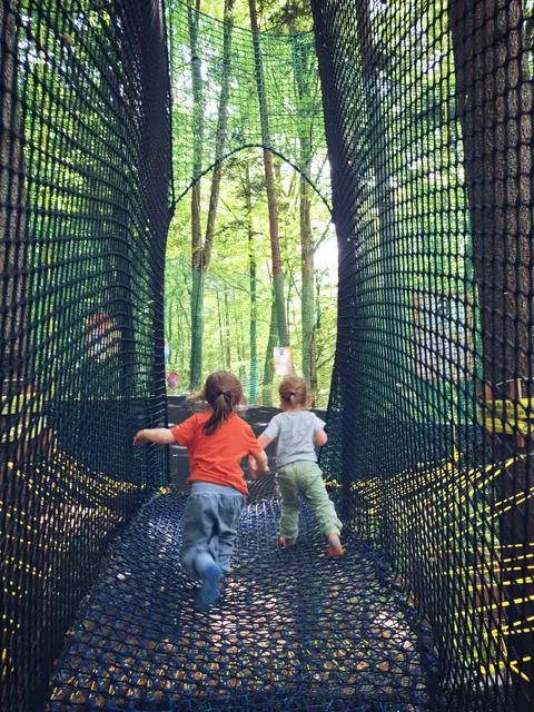  Familywald Ossiacher See | Foto: Janschitz