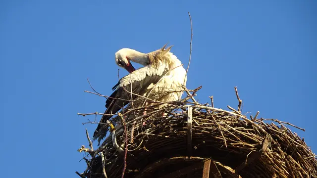 Foto: © Silvia Plischek