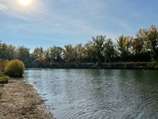 Inmitten der Lobau einen kühlen Kopf bewahren. | Foto: Miriam Al Kafur