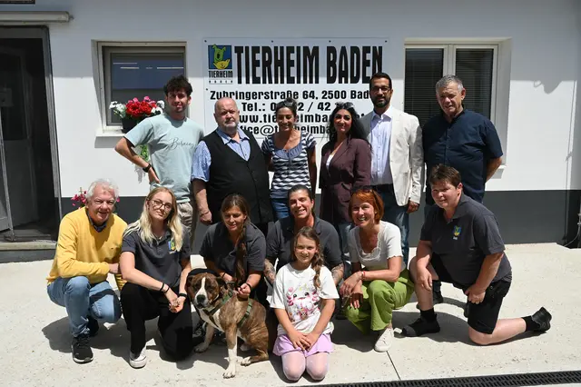 GR Sanin Hanusic, GR Peter Böö, GR Meryem Schmidt, GR Astrid Sinkovits, GR Ali Aram, GR Alois Riesner, Vizebürgermeister Jowi Trenner und Stadträtin Angela Stöckl-Wolkerstorfer mit Tierheimsleiterin Bettina Beilharz und den Mitarbeiterinnen Susanne Posch, Tamara Richter und Larissa Noriz, der kleinen Emily und Rüde Tyson.

 | Foto:  2026psb/sap