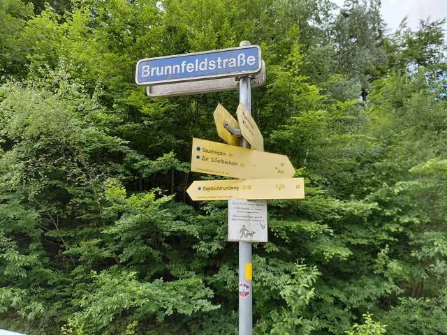 Bambichlrundweg | Foto: H.Bachinger