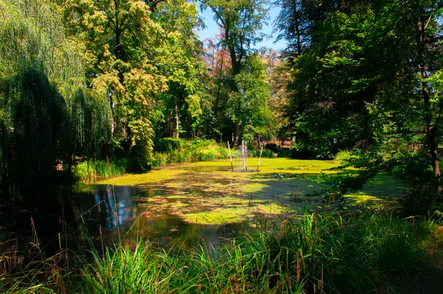 Der Schlosspark ist die grüne Lunge der Stadt Steyr. | Foto: Magistrat Steyr I Presse