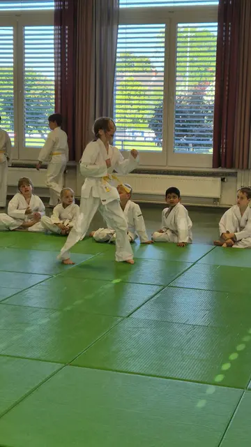 Foto: Hapkido Feldbach-Fehring