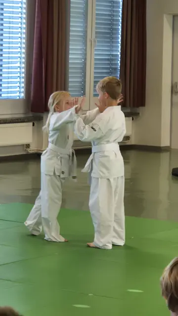 Foto: Hapkido Feldbach-Fehring