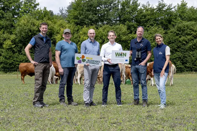 Gruppenfoto vor Kühen