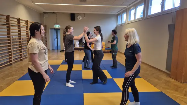 Foto: Hapkido Feldbach-Fehring