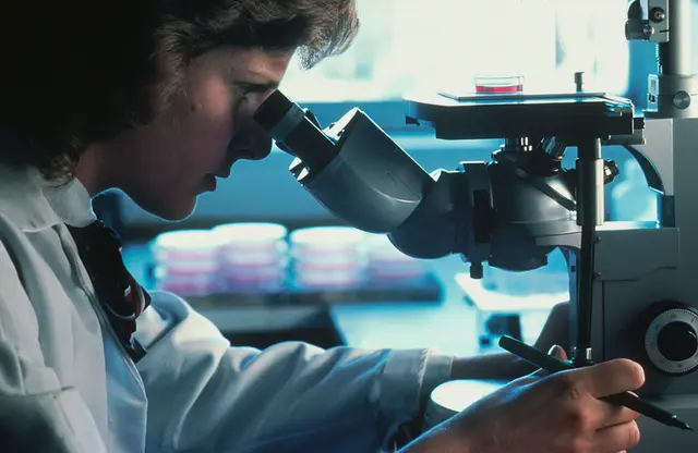 Die Stadt Wien plant Millioneninvestitionen in die Wissenschaft und Forschung. (Symbolfoto) | Foto: National Cancer Institute/Unsplash