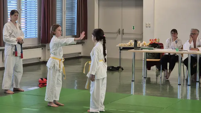 Foto: Hapkido Feldbach-Fehring