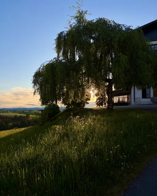 Als privater Rückzugsort mit bewusst reduziertem Fokus wurde das Winklergut neu interpretiert.  | Foto: Winklergut