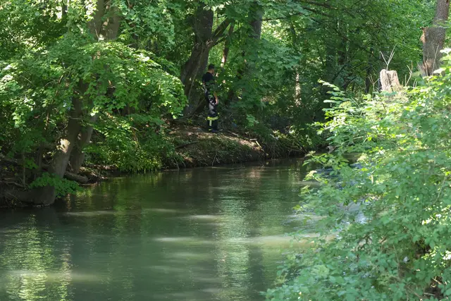 Ein Reh wurde im Welser Mühlbach entdeckt, doch das Tier befreite sich selbst aus dem Wasser. | Foto: laumat.at