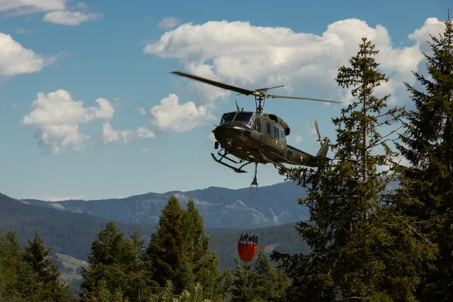 Nach den Regenfällen Anfang Juni wurde die Waldbrand-Verordnung aus dem März 2026 aufgehoben (Symbolbild) | Foto: Thomas Keidel