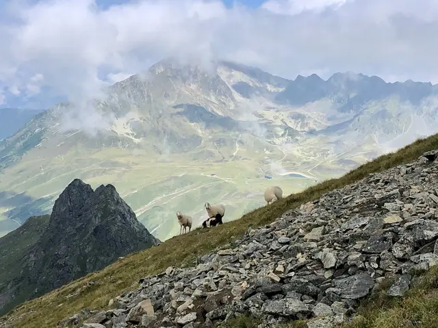 Ziel des Naturschutzfonds ist es, zusätzliche Mittel für den Schutz und die Entwicklung wertvoller Natur- und Landschaftsräume in Tirol bereitzustellen. | Foto: Land Tirol/Rosner
