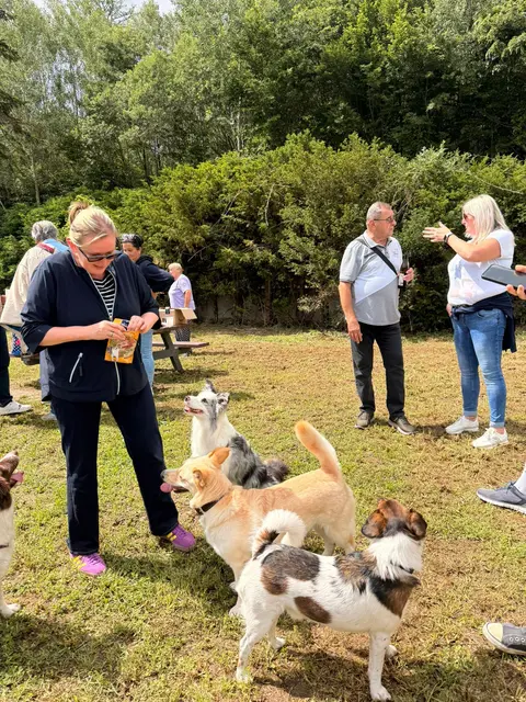 Vizebürgermeisterin Manuela Dundler-Strasser versuchte sich als Hundeflüsterin | Foto: Marktgemeinde Gablitz