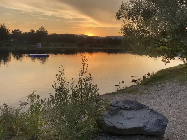 Laut einer Untersuchung der Europäischen Umweltagentur im Vorjahr hat der Pleschinger See „mangelhafte“ Wasserqualität. | Foto: MeinBezirk