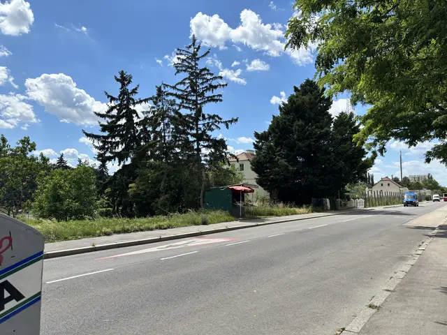 Foto: Luca Arztmann/MeinBezirk