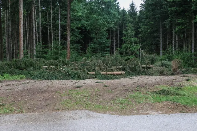 Foto: laumat/Matthias Lauber